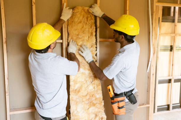 Types of Insulation We Offer in San Rafael, CA